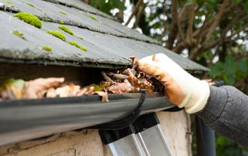 gutter cleaning Newton Le Willows